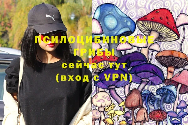 соль ск Вязьма