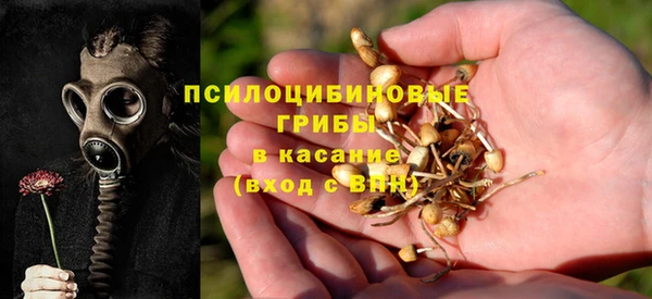 соль ск Вязьма