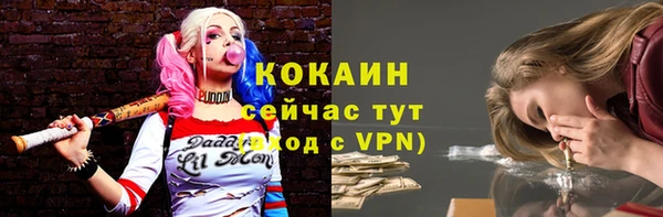 соль ск Вязьма