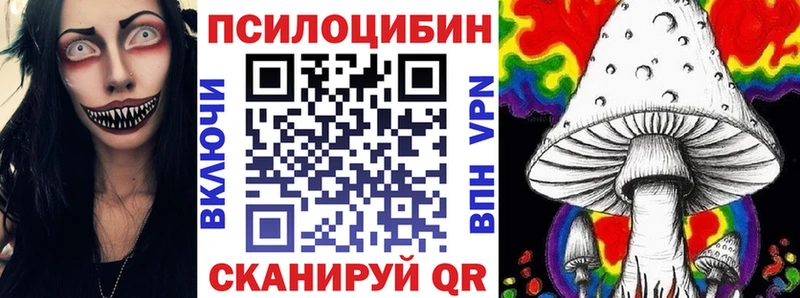 Купить закладки  Кизляр  Псилоцибиновые грибы мицелий 