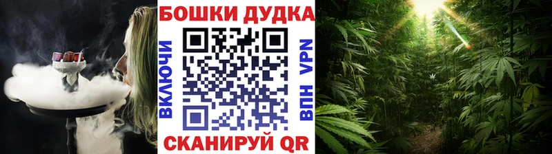 Бошки марихуана Bruce Banner  Купить  Кизляр 